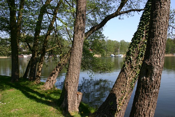 Schlossinsel Mirow