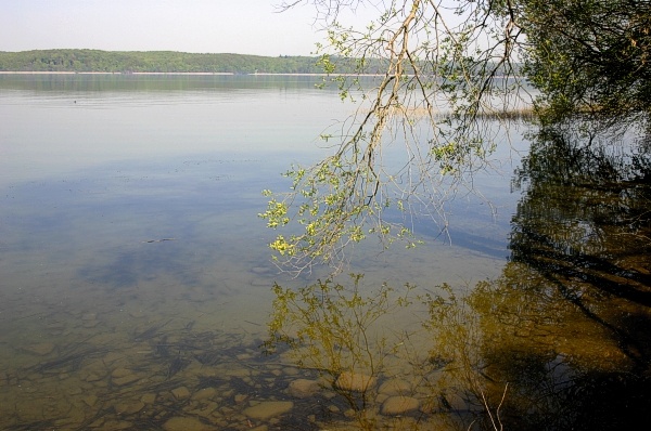 Tollensesee